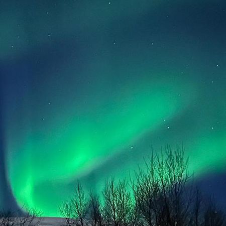 Tromsdalen Aurora Apartments Tromso Bagian luar foto